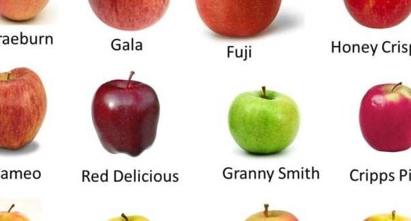 Gala apple nutrition facts